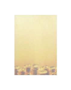 Decadry All Purpose Paper 80gsm Money, Pack of 10