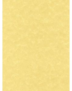 Decadry CorporateLine Parchment Gold Card, A4, 165gsm, Pack of 50 