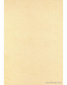  Decadry Straw Buffalo Card A4, 200gsm