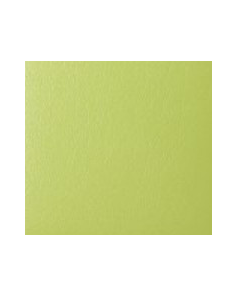 Tuscana Grain Leather Five Year Diary 210x149mm, Lime Green