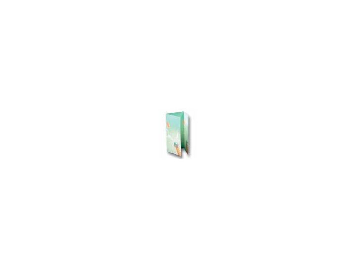 Decadry 3 Fold Event Cards, A4 folded size: 100x210mm 135gsm, Champagne, Pack of 14 Cards