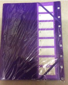 Snopake Elasticated 8 Part File, Purple